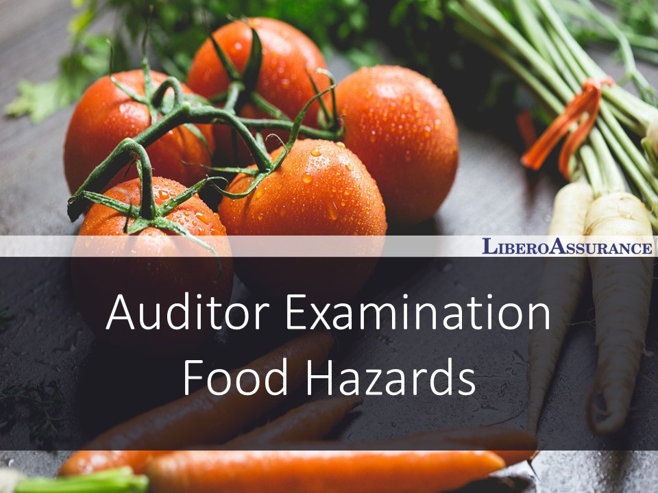 Auditor Examination | Food Hazards